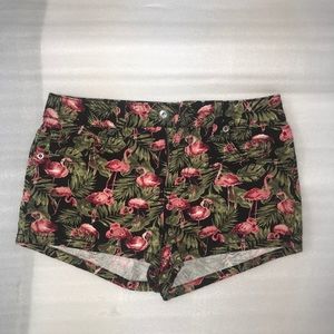 Flamingo shorts